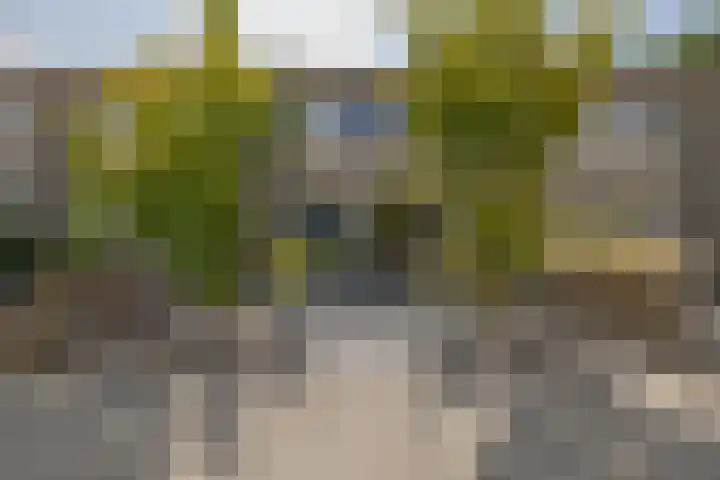 de Paden 19 Kollumersweach thumbnail 41