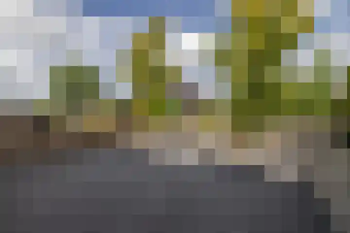de Paden 19 Kollumersweach thumbnail 42