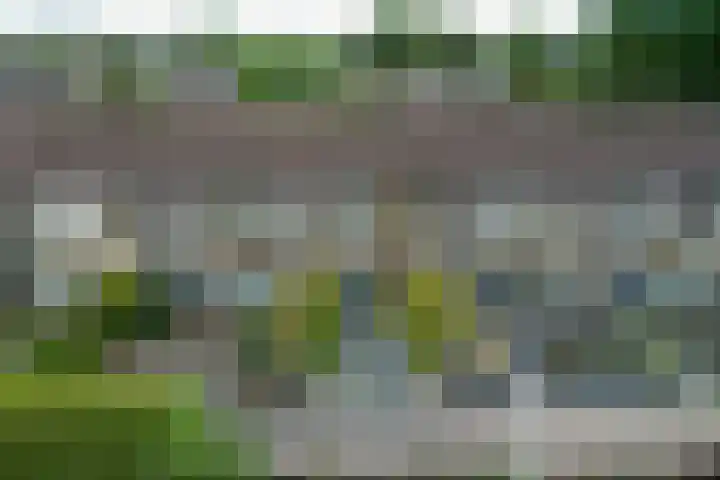 de Paden 19 Kollumersweach thumbnail 44