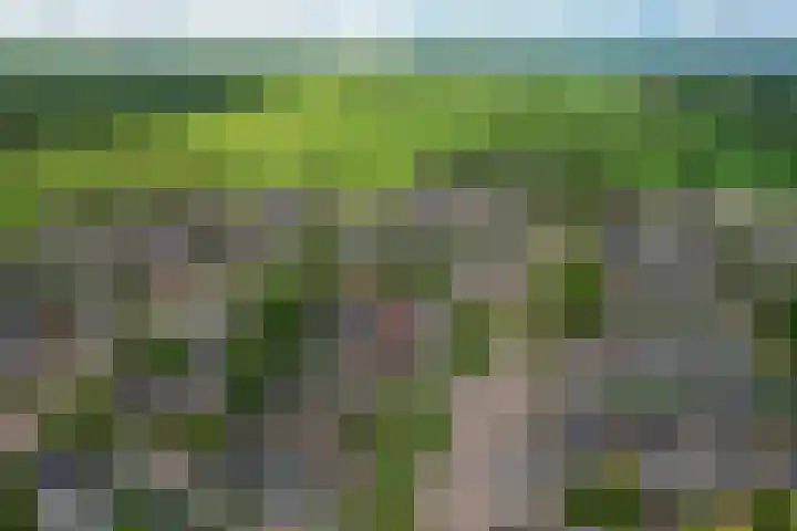 de Paden 19 Kollumersweach thumbnail 48