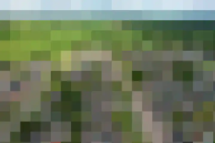 de Paden 19 Kollumersweach thumbnail 49