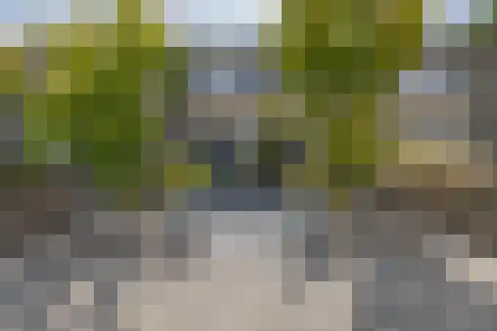 de Paden 19 Kollumersweach thumbnail 55