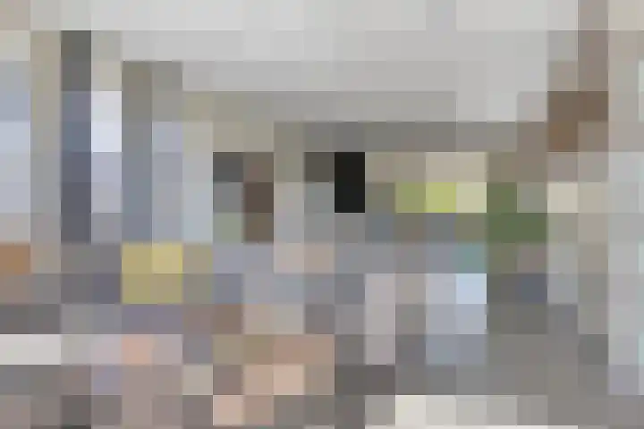 de Paden 31 Kollumersweach thumbnail 12