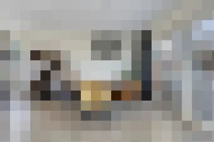 de Paden 31 Kollumersweach thumbnail 15