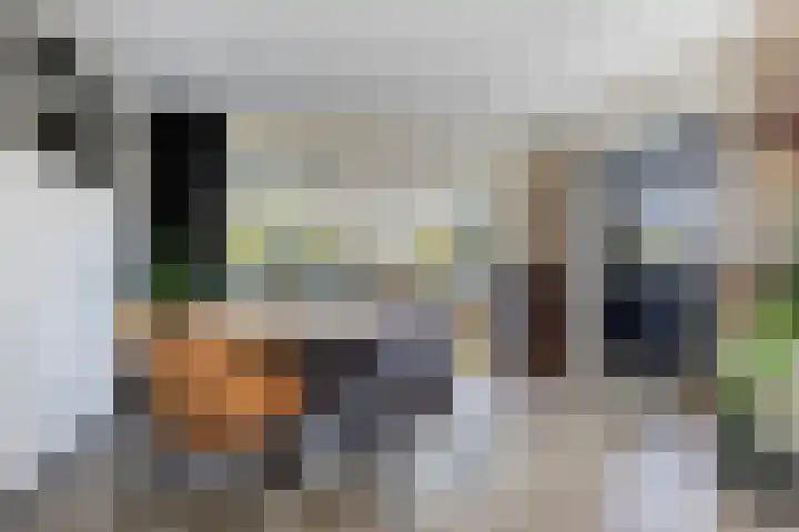 de Paden 31 Kollumersweach thumbnail 16
