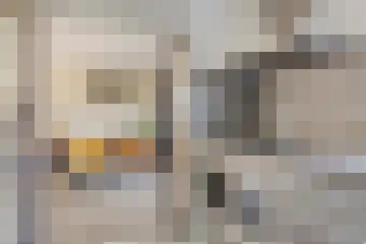 de Paden 31 Kollumersweach thumbnail 17