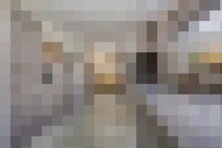 de Paden 31 Kollumersweach thumbnail 18