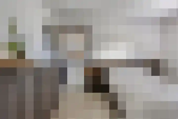 de Paden 31 Kollumersweach thumbnail 25