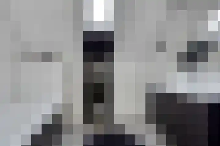 de Paden 31 Kollumersweach thumbnail 32