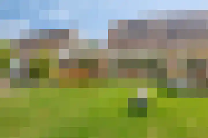 de Paden 31 Kollumersweach thumbnail 36