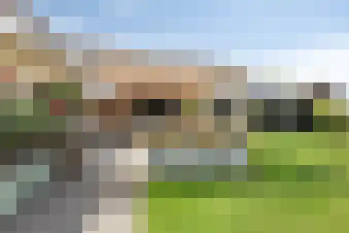 de Paden 31 Kollumersweach thumbnail 37