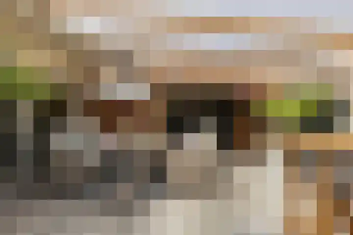 de Paden 31 Kollumersweach thumbnail 38