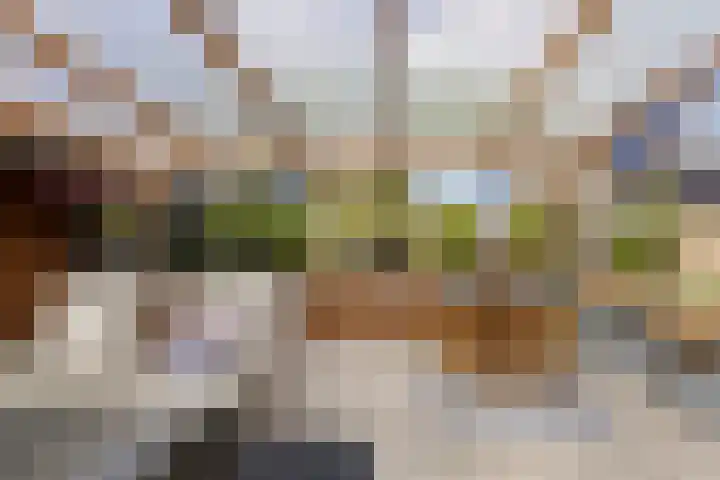 de Paden 31 Kollumersweach thumbnail 39