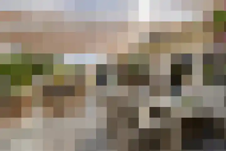 de Paden 31 Kollumersweach thumbnail 40