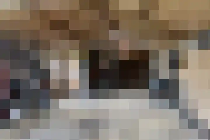 de Paden 31 Kollumersweach thumbnail 42