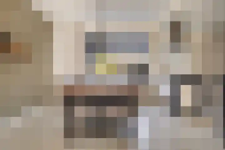 de Paden 46 Kollumersweach thumbnail 13