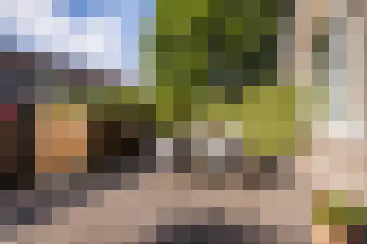 de Paden 46 Kollumersweach thumbnail 25