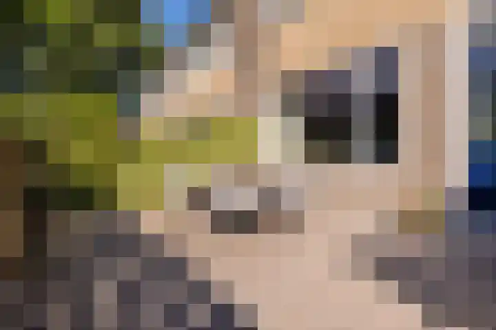 de Paden 46 Kollumersweach thumbnail 26