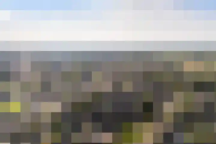 de Paden 46 Kollumersweach thumbnail 46