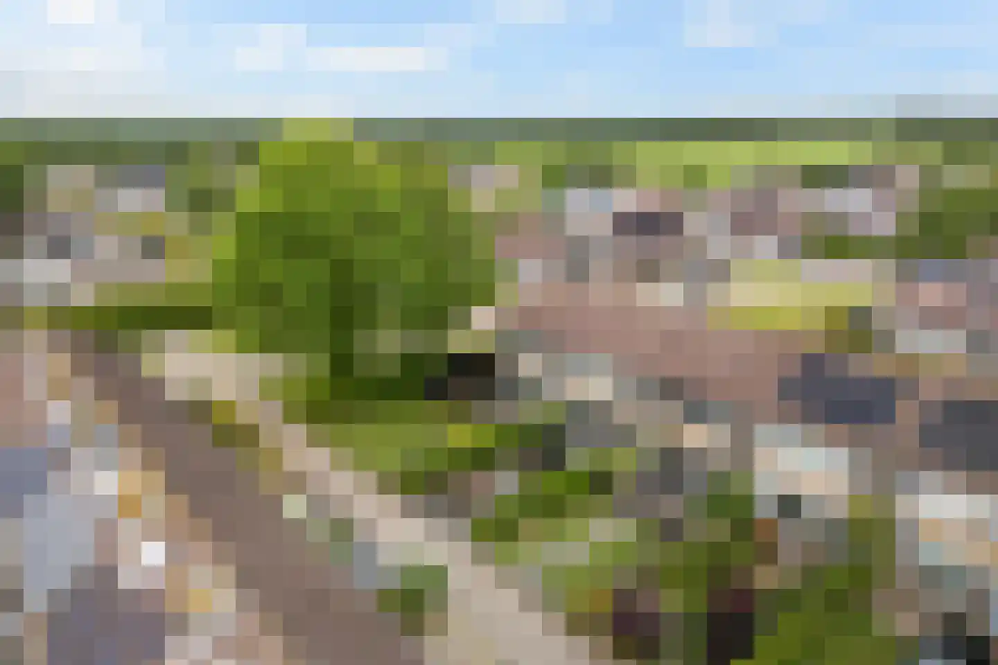 de Paden 46 Kollumersweach thumbnail 5