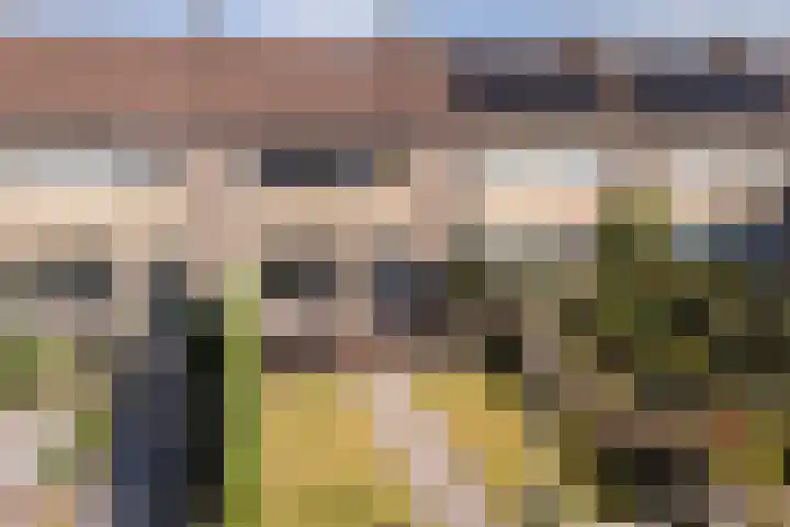 de Paden 46 Kollumersweach thumbnail 55