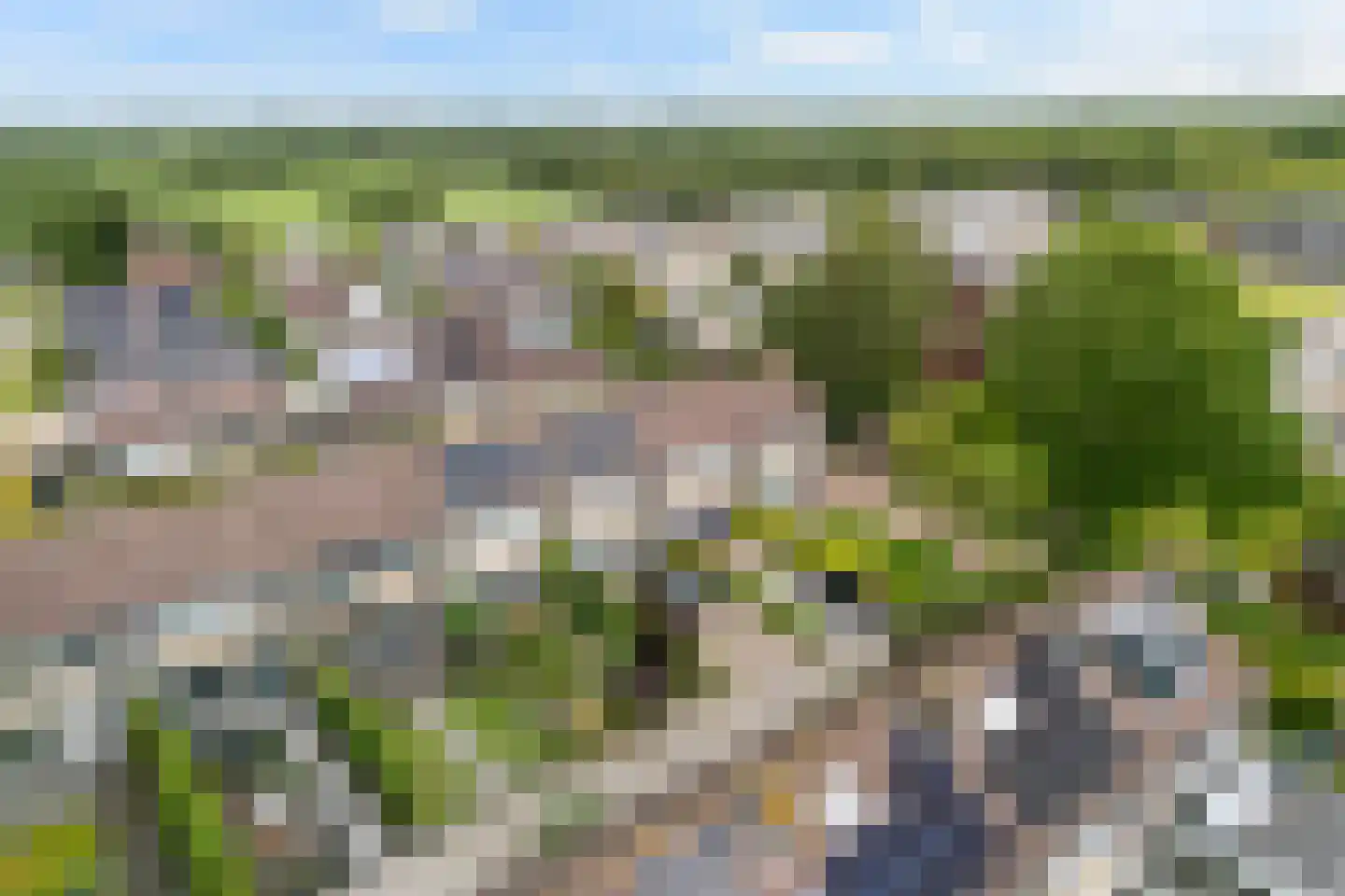 de Paden 46 Kollumersweach thumbnail 6