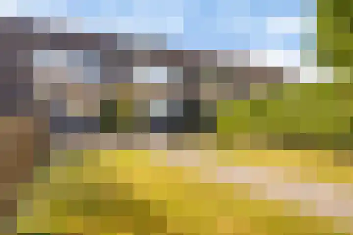 de Paden 46 Kollumersweach thumbnail 6