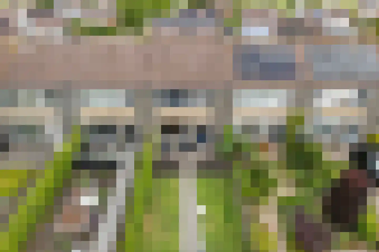 de Paden 46 Kollumersweach thumbnail 7