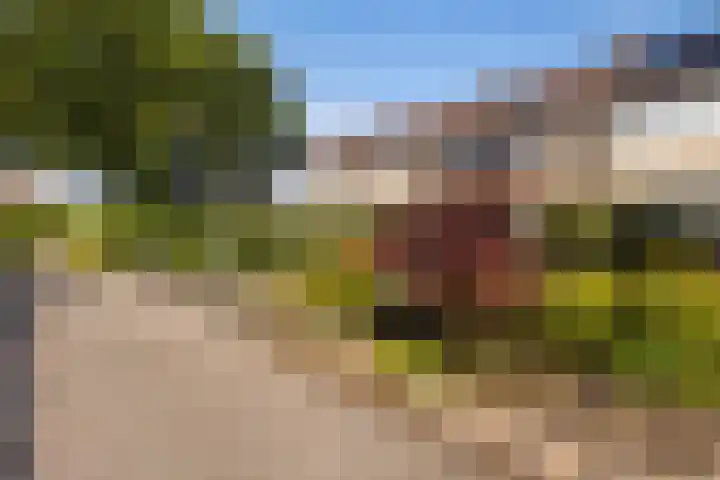 de Paden 46 Kollumersweach thumbnail 7