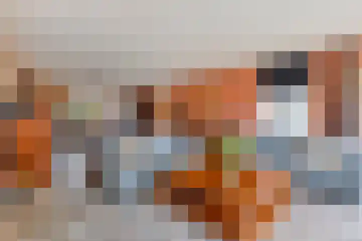De Padjes 1 Etten-Leur thumbnail 16