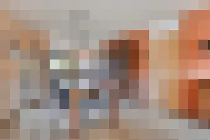 De Padjes 1 Etten-Leur thumbnail 17