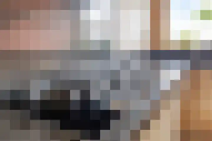 De Padjes 1 Etten-Leur thumbnail 23