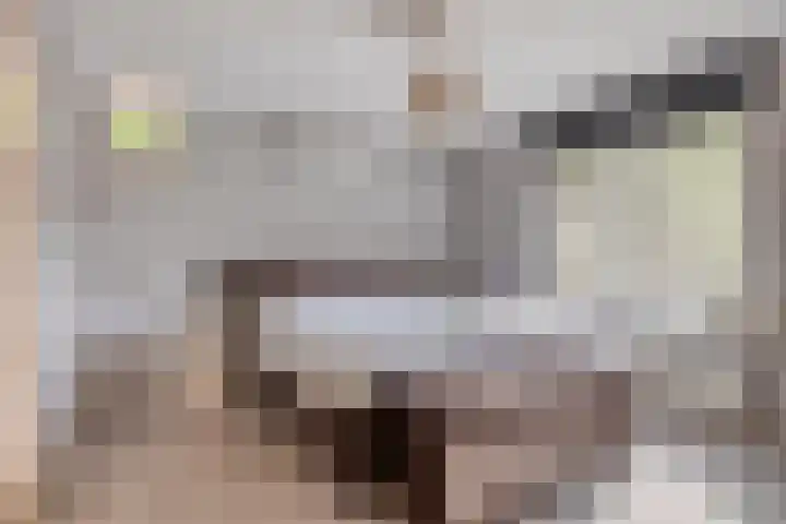 De Padjes 1 Etten-Leur thumbnail 26
