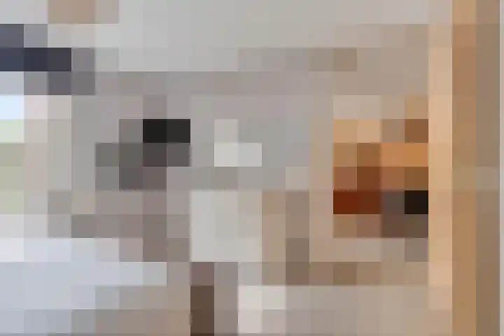 De Padjes 1 Etten-Leur thumbnail 27