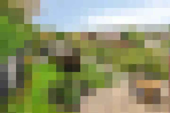 De Padjes 1 Etten-Leur thumbnail 37
