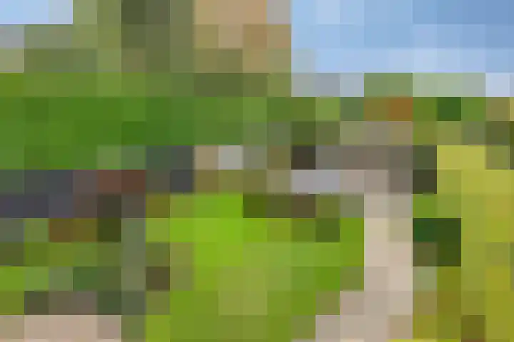 De Padjes 1 Etten-Leur thumbnail 38