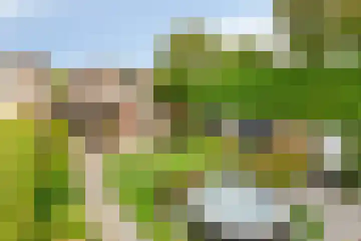 De Padjes 1 Etten-Leur thumbnail 39