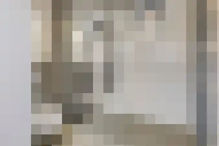 De Padjes 1 Etten-Leur thumbnail 4