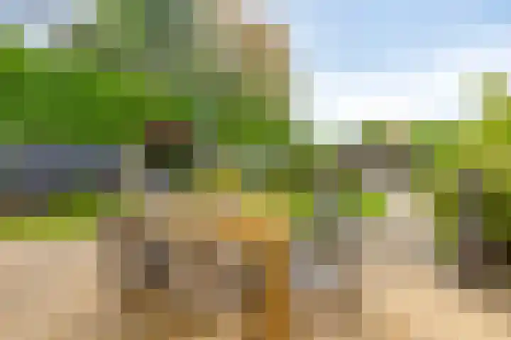 De Padjes 1 Etten-Leur thumbnail 41
