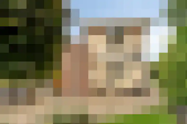De Padjes 1 Etten-Leur thumbnail 42