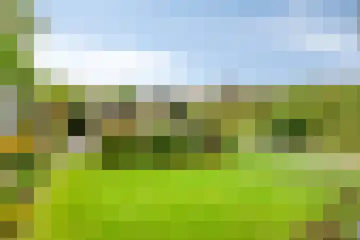 De Padjes 1 Etten-Leur thumbnail 43