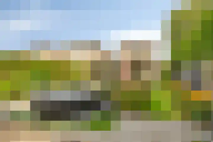 De Padjes 1 Etten-Leur thumbnail 44