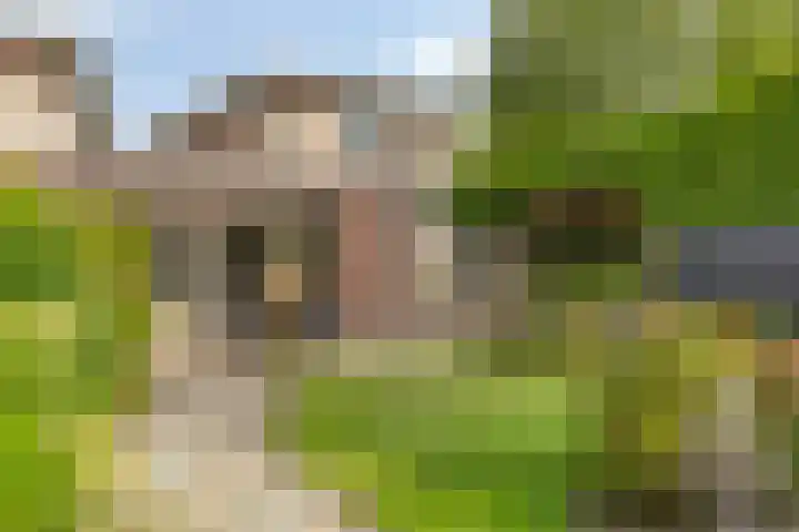 De Padjes 1 Etten-Leur thumbnail 45