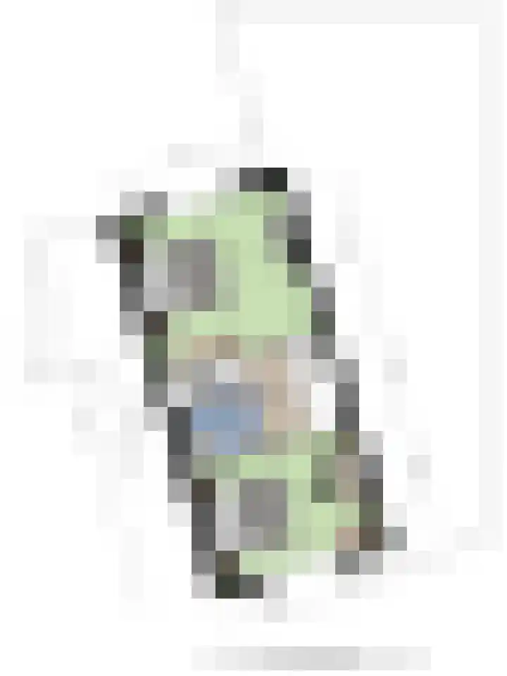 De Padjes 1 Etten-Leur thumbnail 48