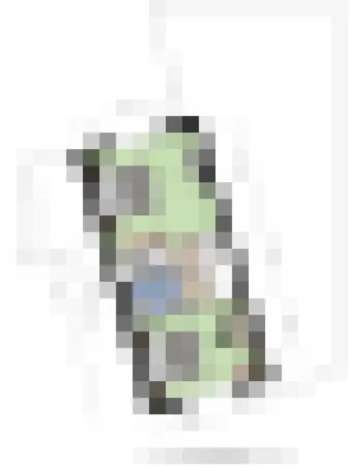De Padjes 1 Etten-Leur thumbnail 52