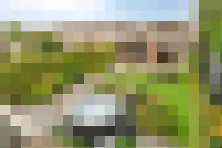 De Padjes 1 Etten-Leur thumbnail 54