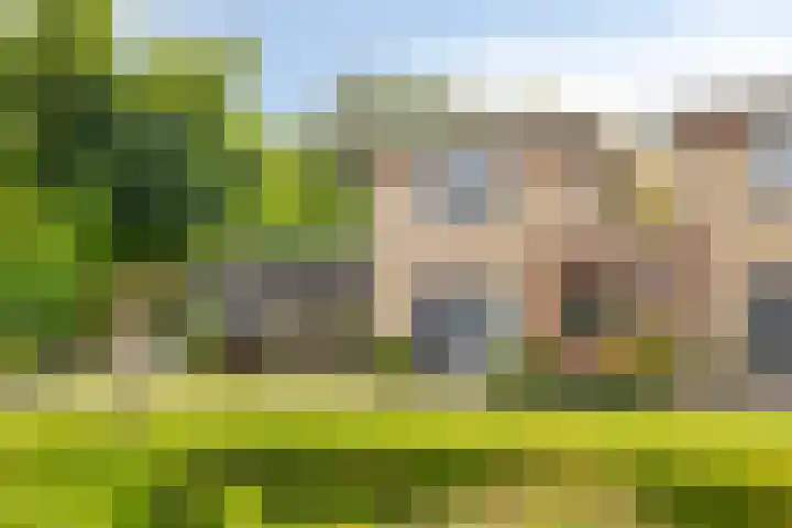 De Padjes 1 Etten-Leur thumbnail 6