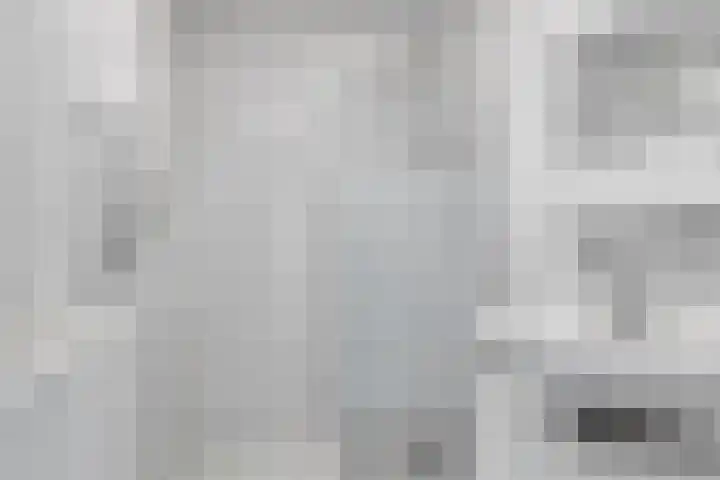 De Padjes 10 Etten-Leur thumbnail 27