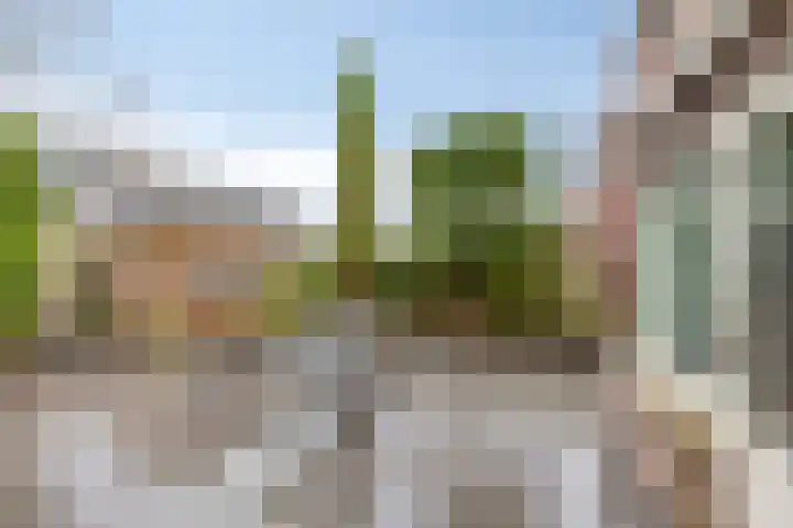 De Padjes 10 Etten-Leur thumbnail 30