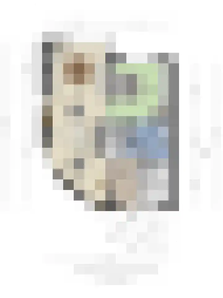 De Padjes 10 Etten-Leur thumbnail 35